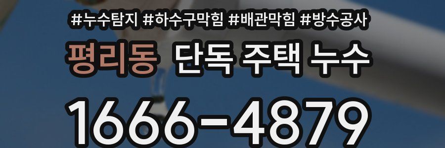 평리동 단독 주택 누수