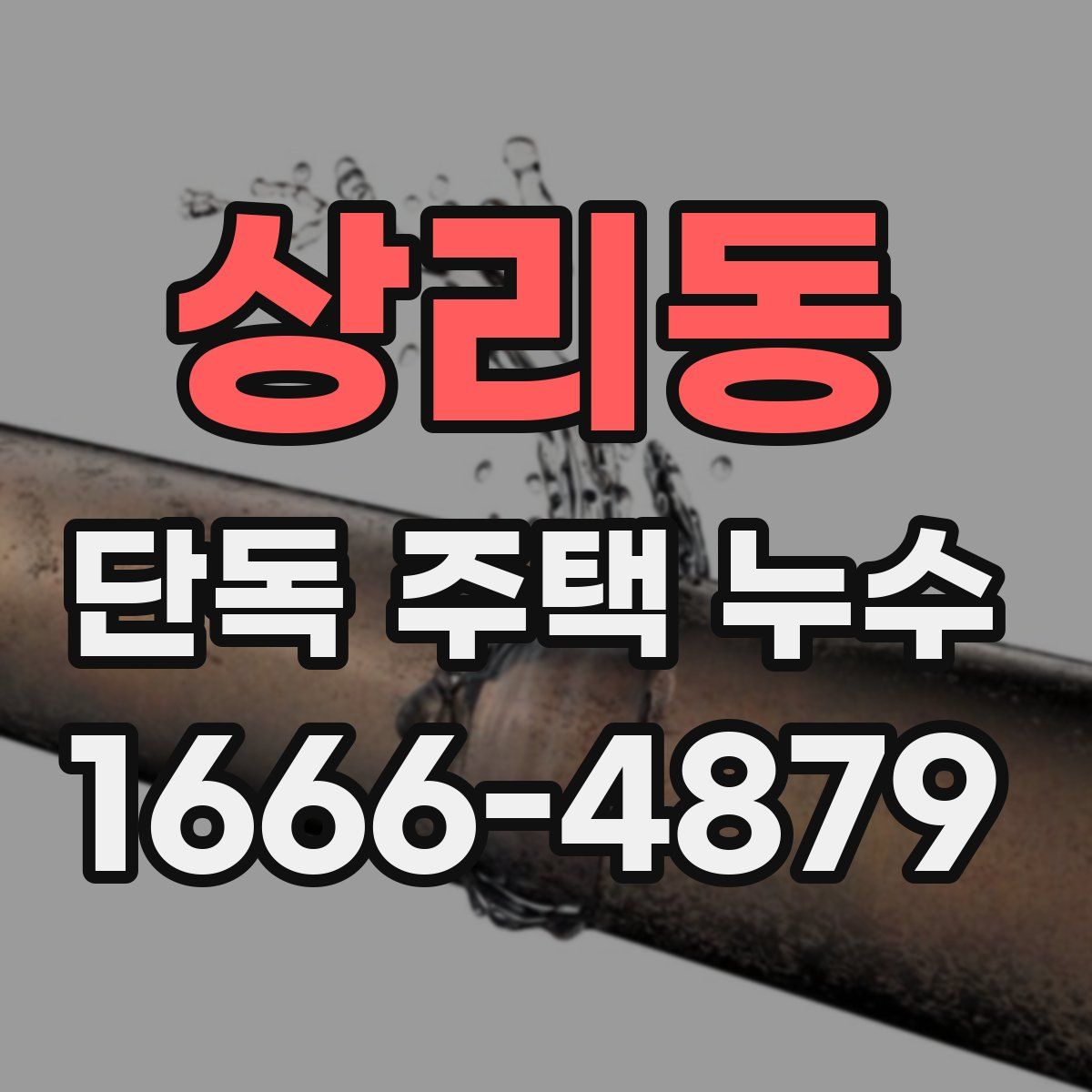 상리동 단독 주택 누수