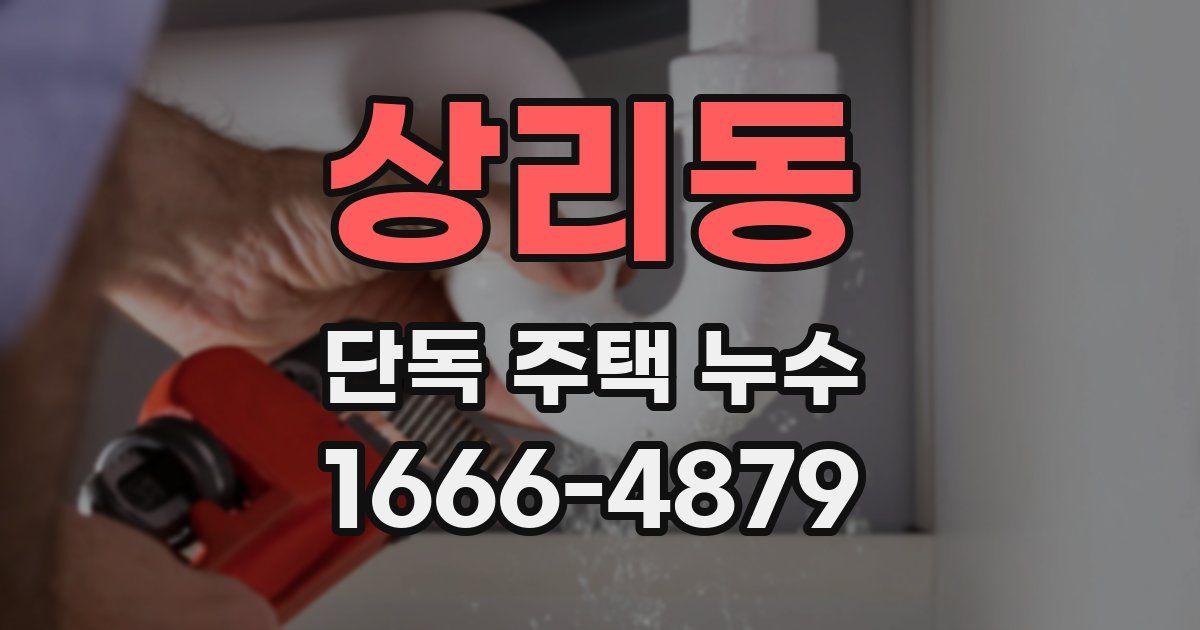 상리동 단독 주택 누수