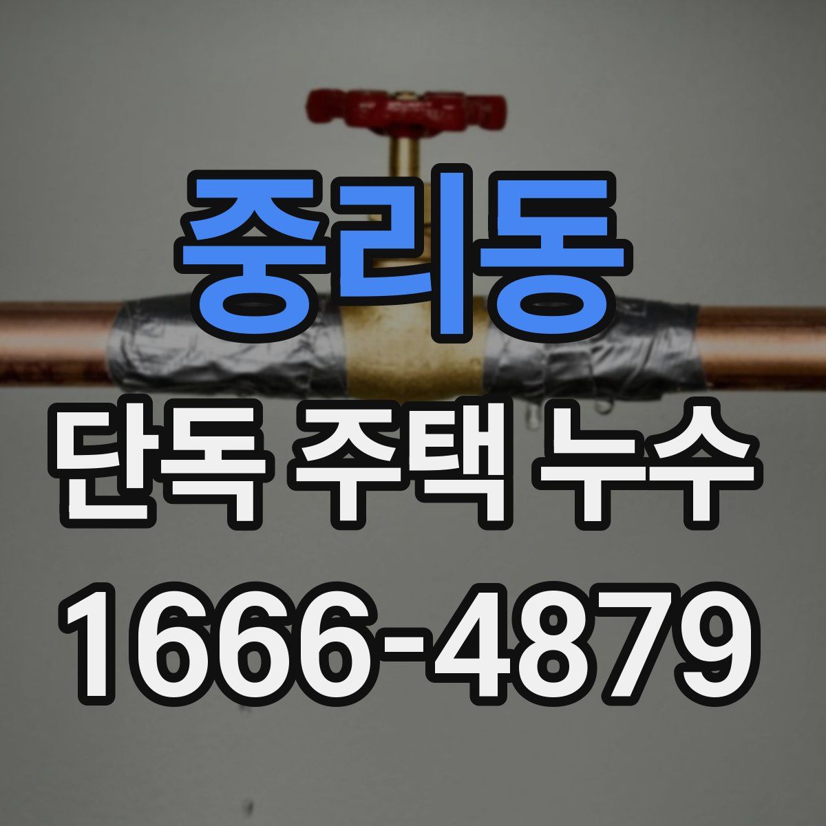 중리동 단독 주택 누수