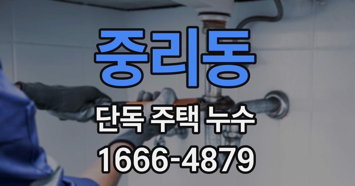 중리동 단독 주택 누수