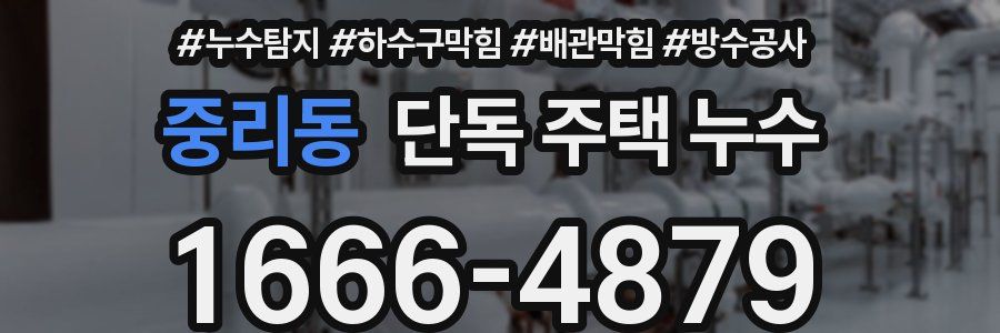 중리동 단독 주택 누수