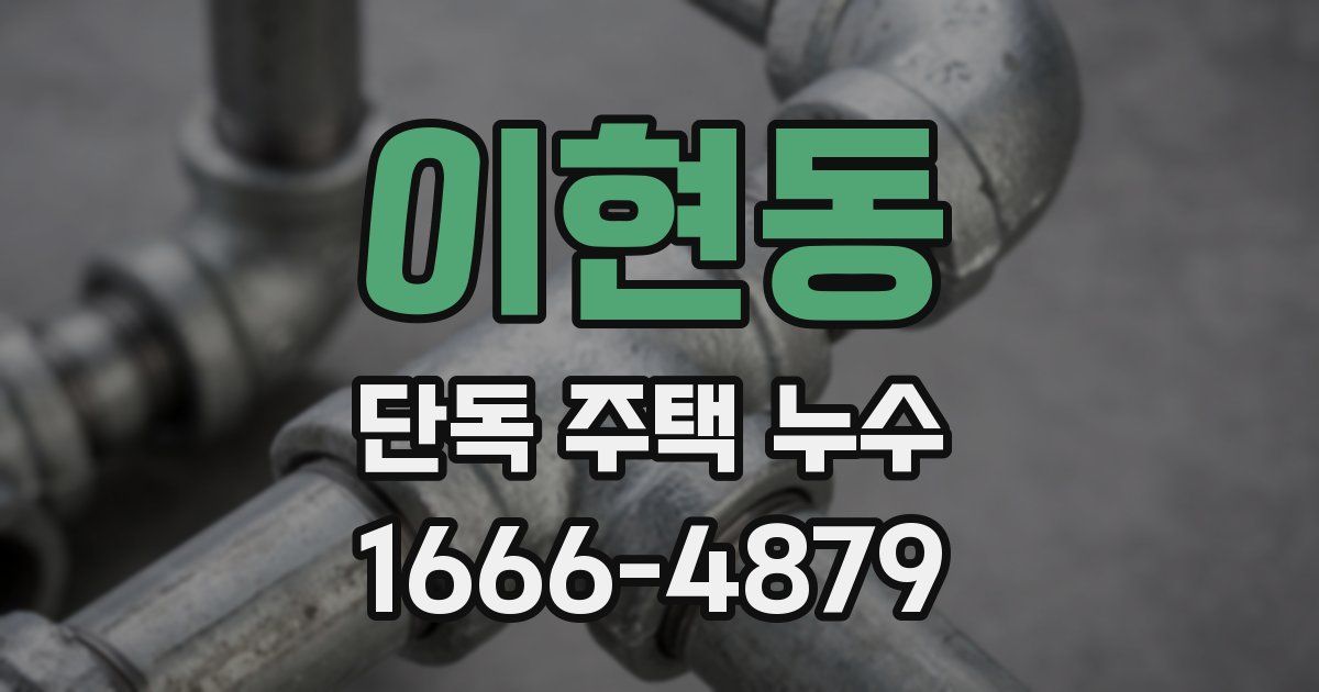 이현동 단독 주택 누수