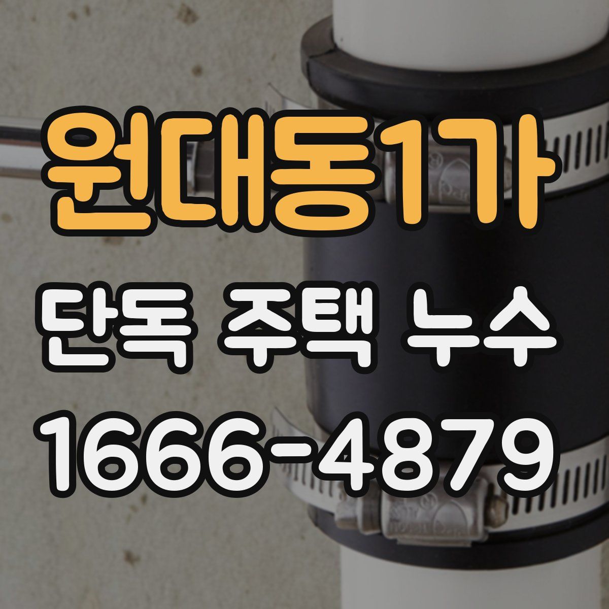 원대동1가 단독 주택 누수