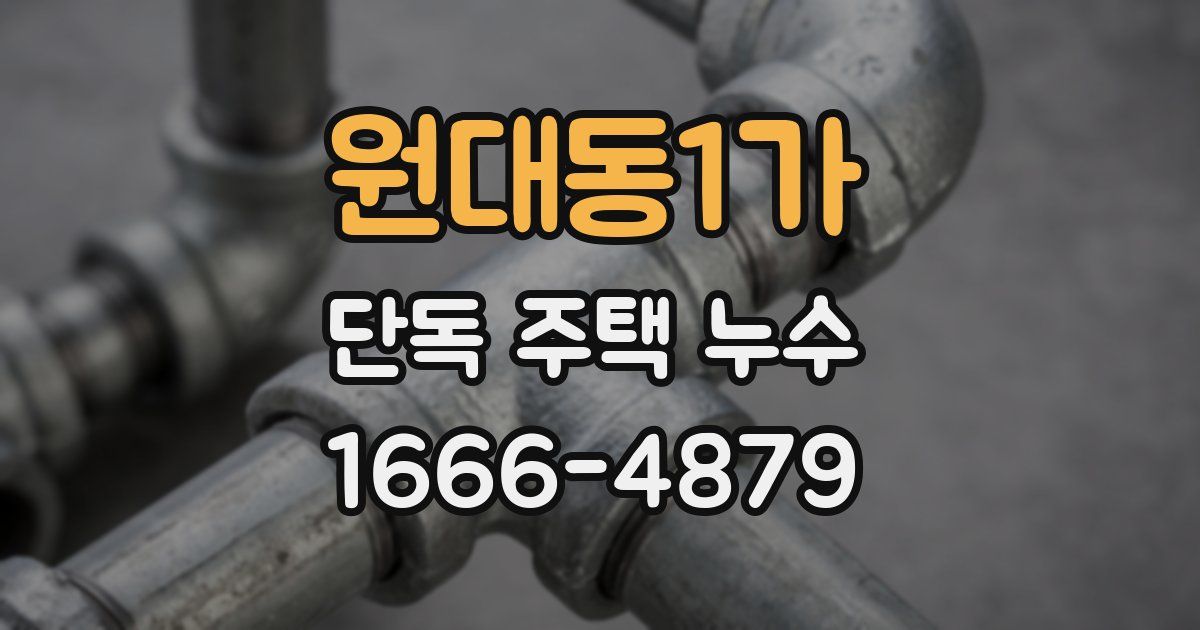 원대동1가 단독 주택 누수