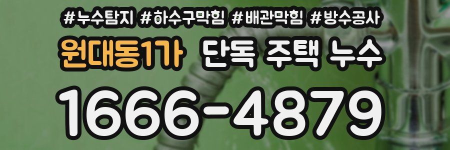 원대동1가 단독 주택 누수