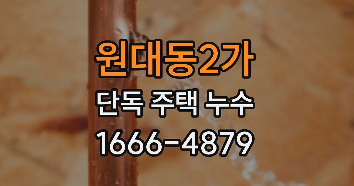 원대동2가 단독 주택 누수