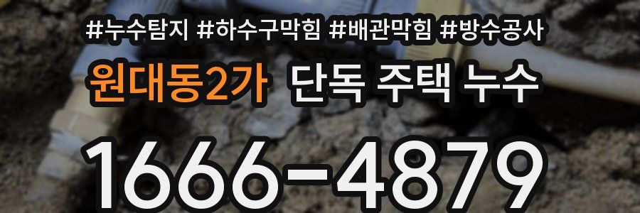 원대동2가 단독 주택 누수