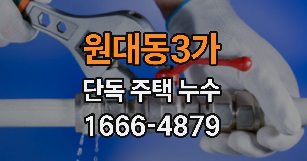 원대동3가 단독 주택 누수