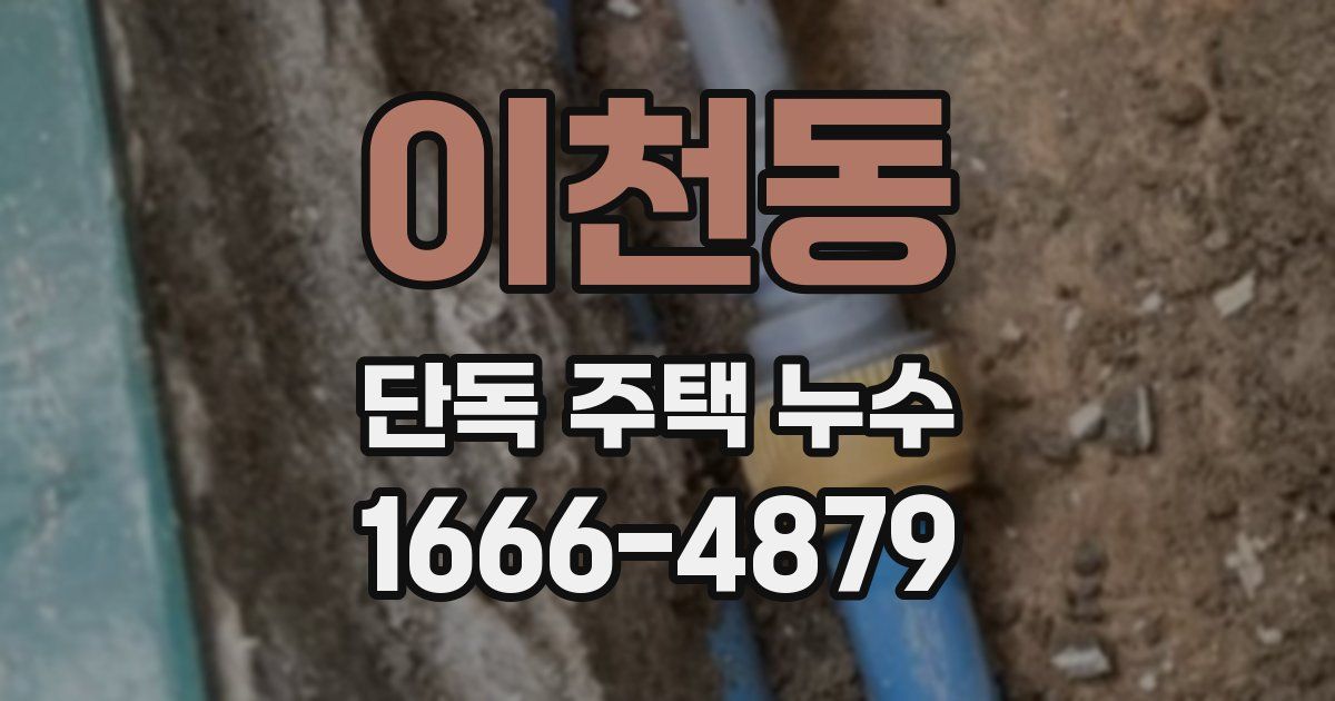 이천동 단독 주택 누수
