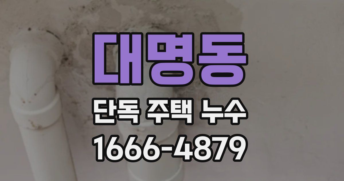 대명동 단독 주택 누수