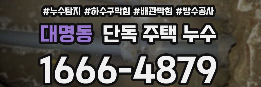 대명동 단독 주택 누수