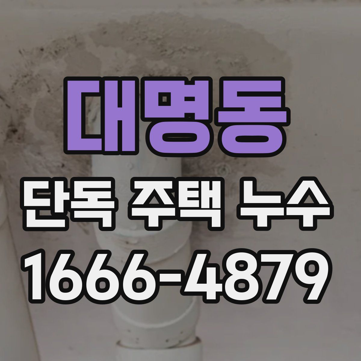 대명동 단독 주택 누수
