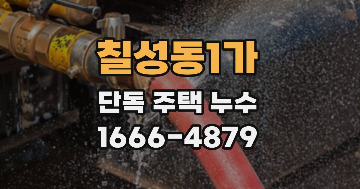 칠성동1가 단독 주택 누수