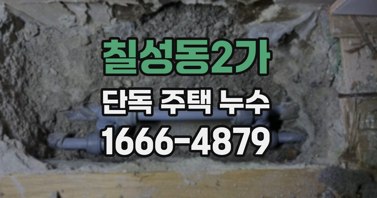 칠성동2가 단독 주택 누수