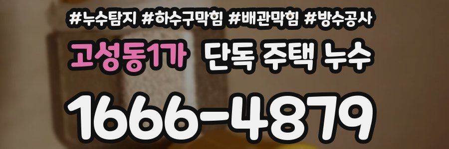 고성동1가 단독 주택 누수