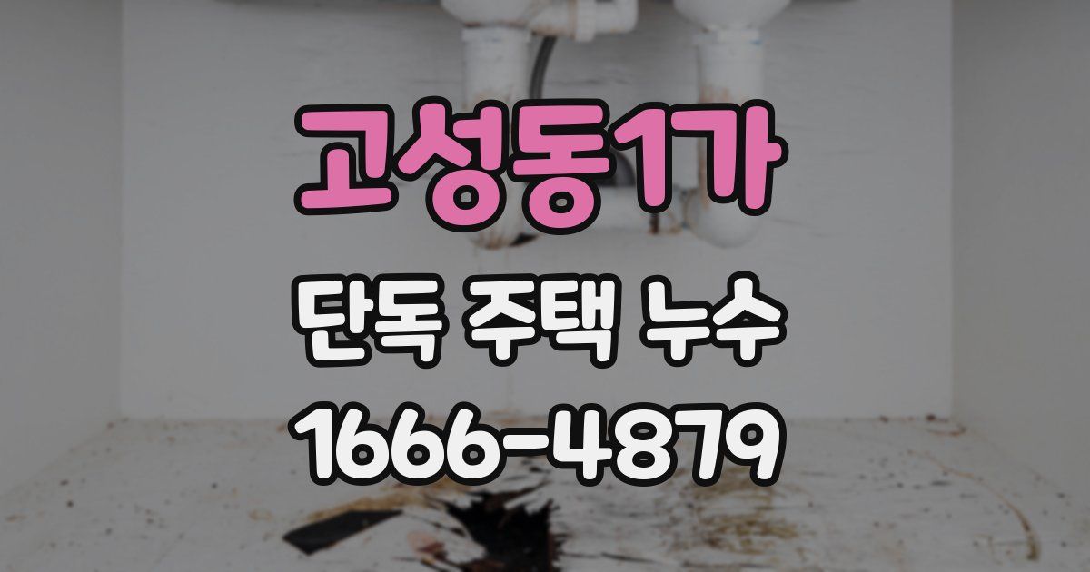 고성동1가 단독 주택 누수