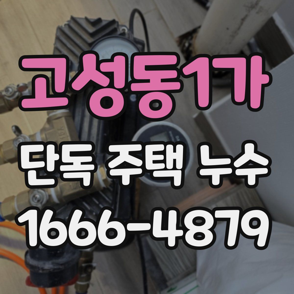 고성동1가 단독 주택 누수