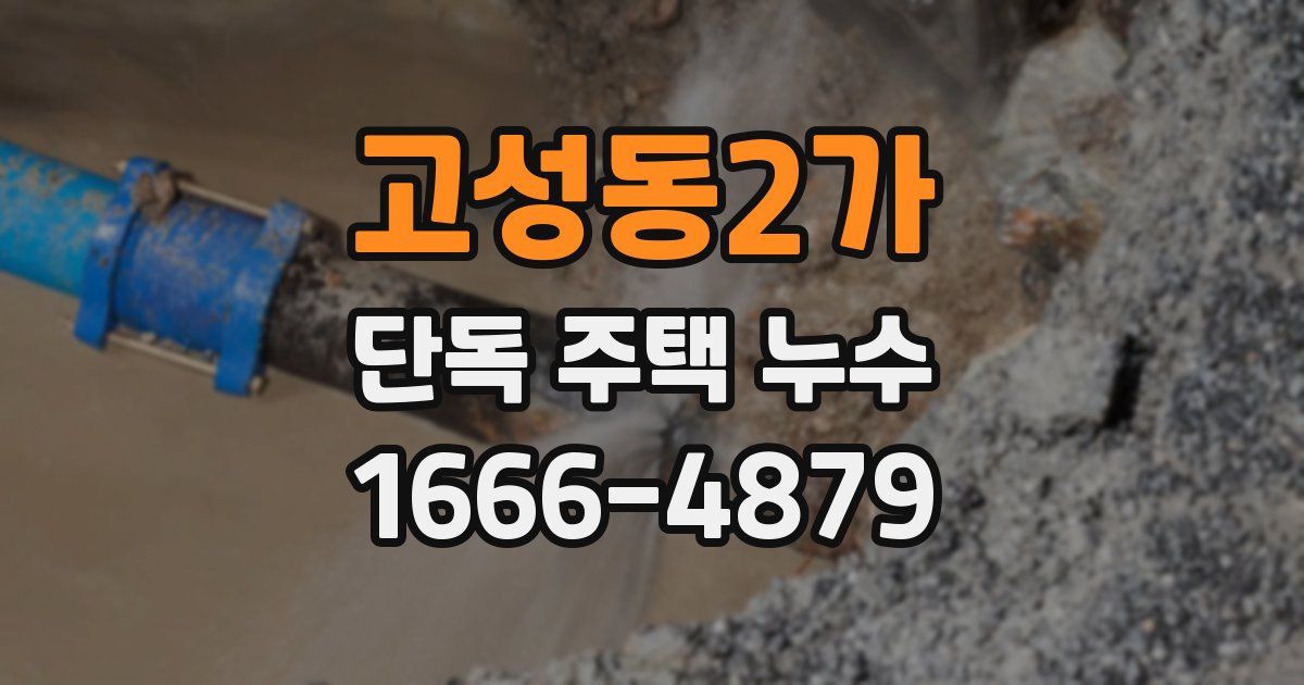 고성동2가 단독 주택 누수