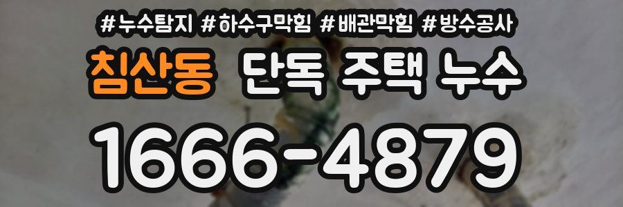 침산동 단독 주택 누수