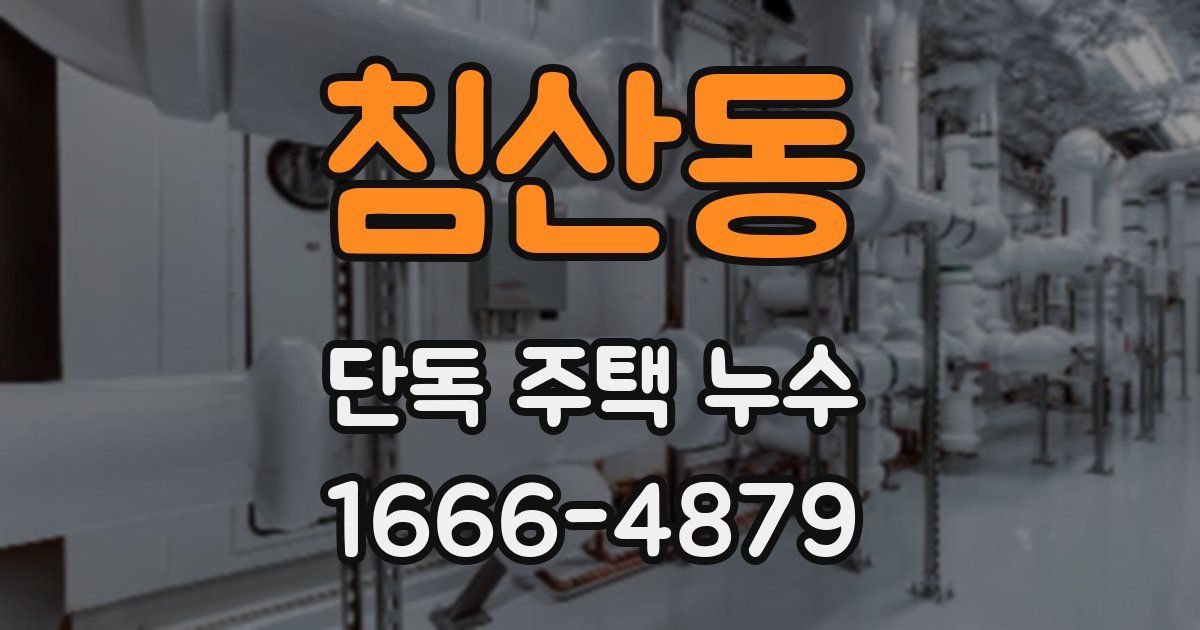 침산동 단독 주택 누수