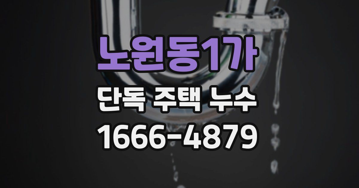 노원동1가 단독 주택 누수
