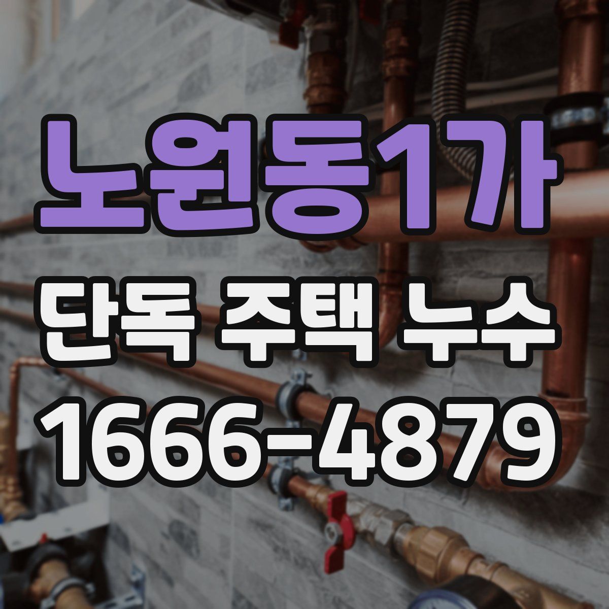 노원동1가 단독 주택 누수