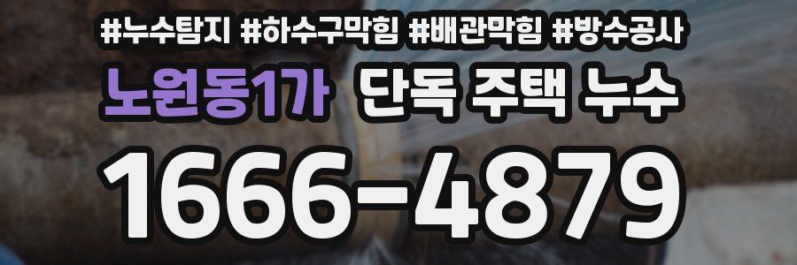 노원동1가 단독 주택 누수