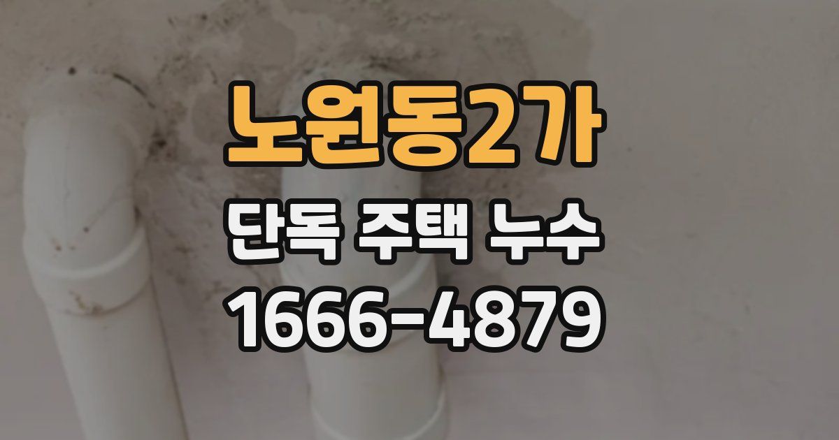 노원동2가 단독 주택 누수