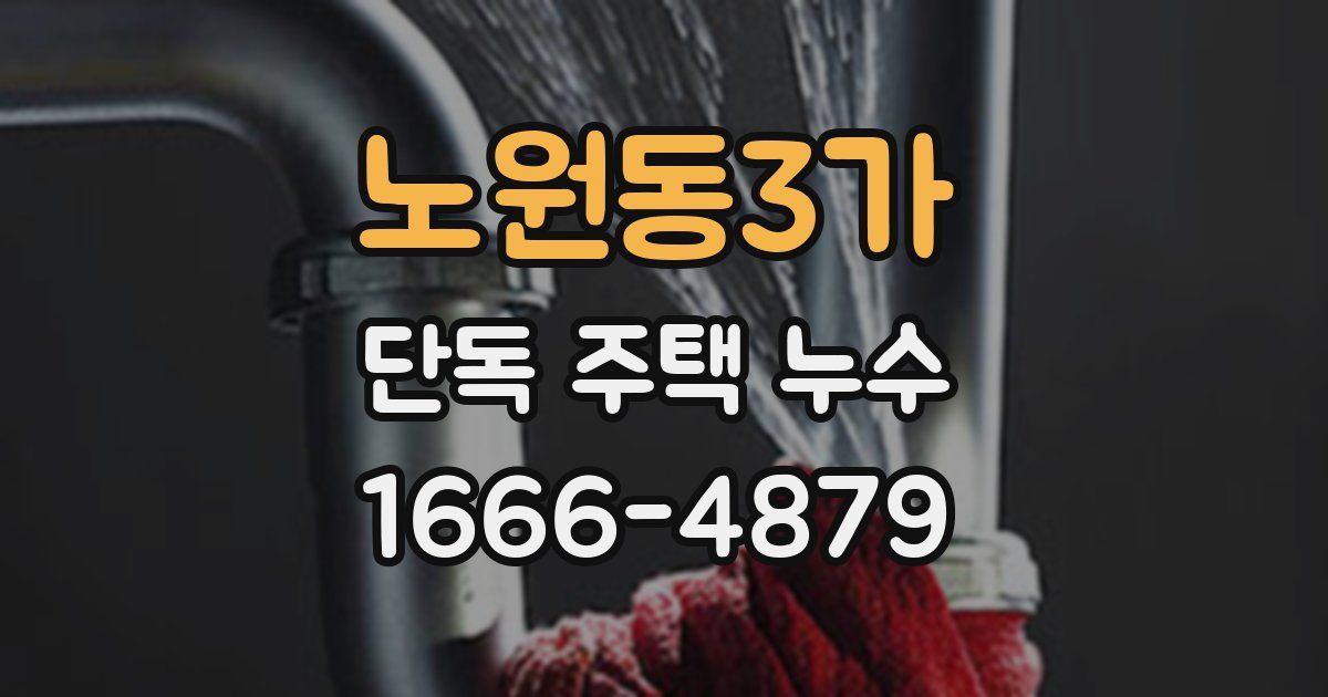 노원동3가 단독 주택 누수