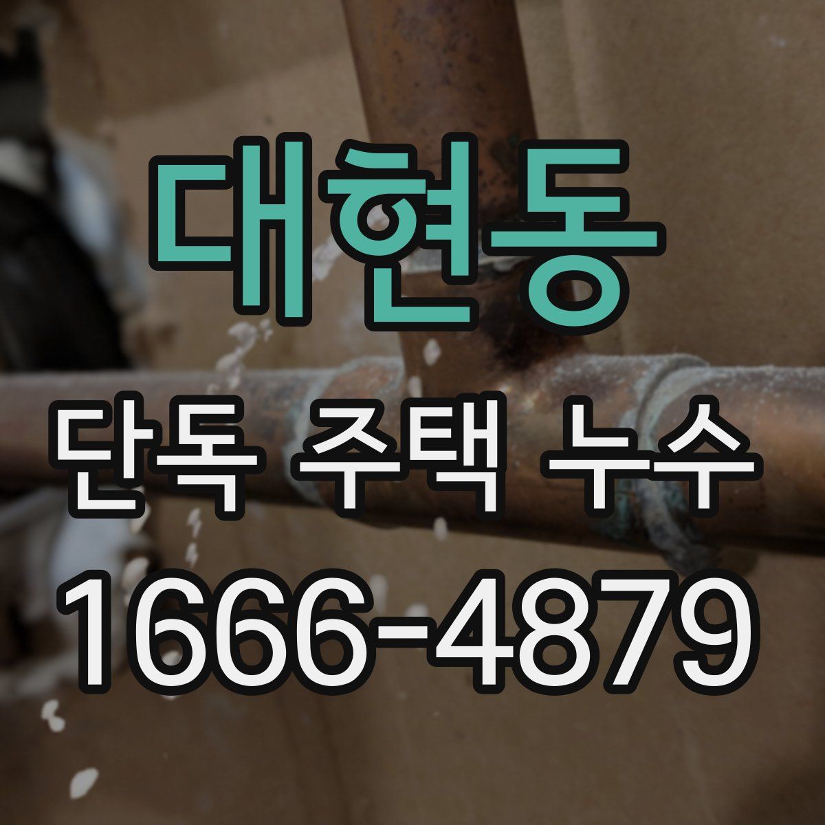 대현동 단독 주택 누수