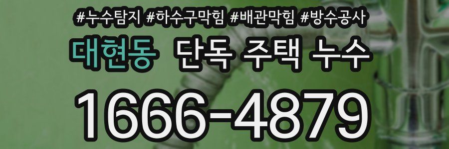 대현동 단독 주택 누수