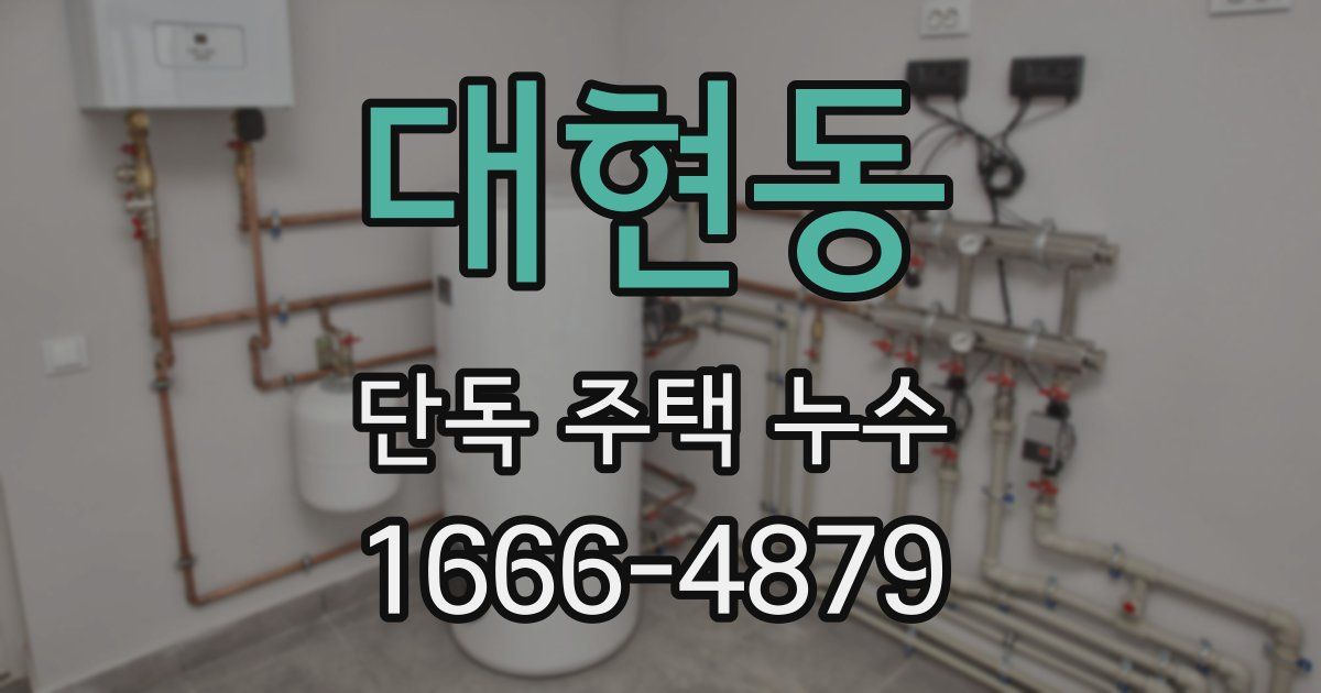 대현동 단독 주택 누수