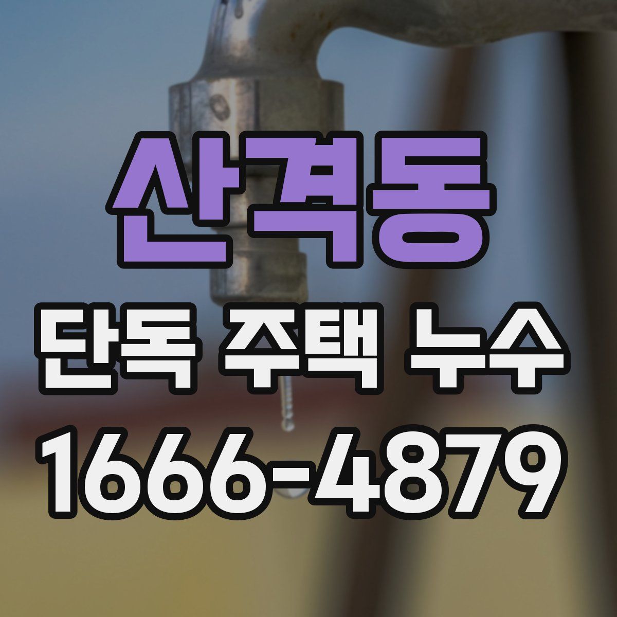 산격동 단독 주택 누수