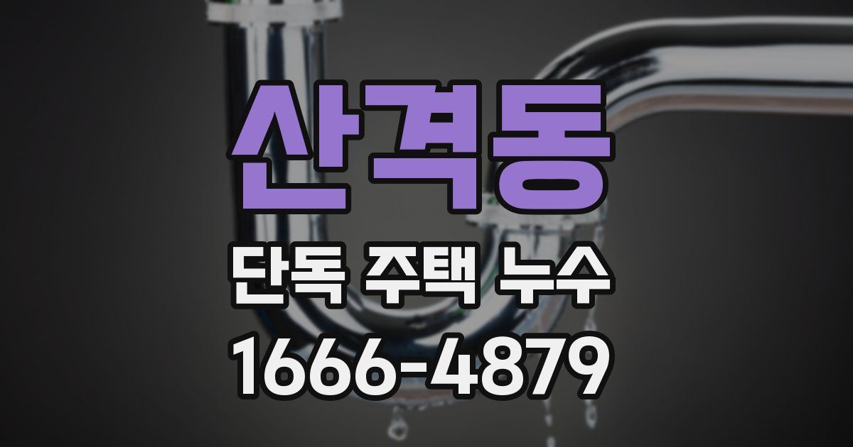 산격동 단독 주택 누수