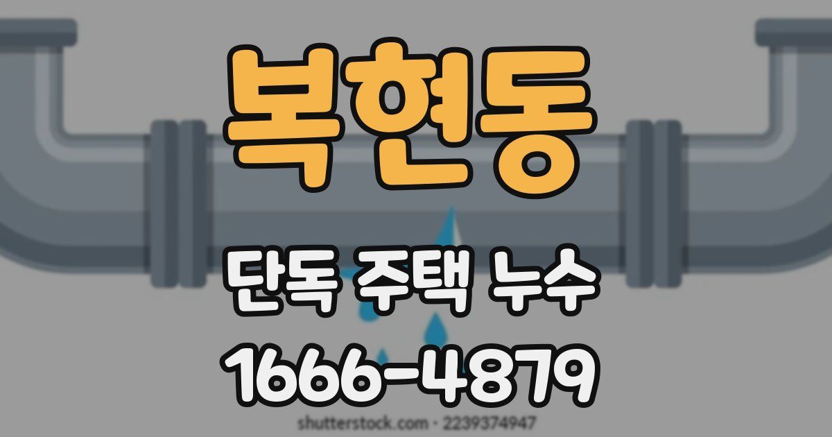 복현동 단독 주택 누수