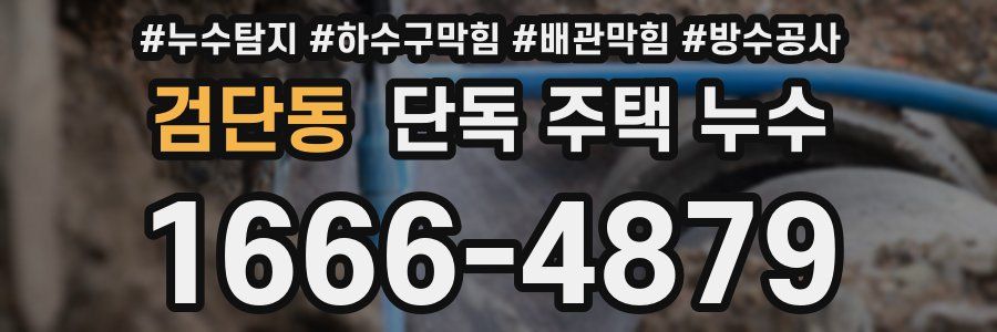 검단동 단독 주택 누수
