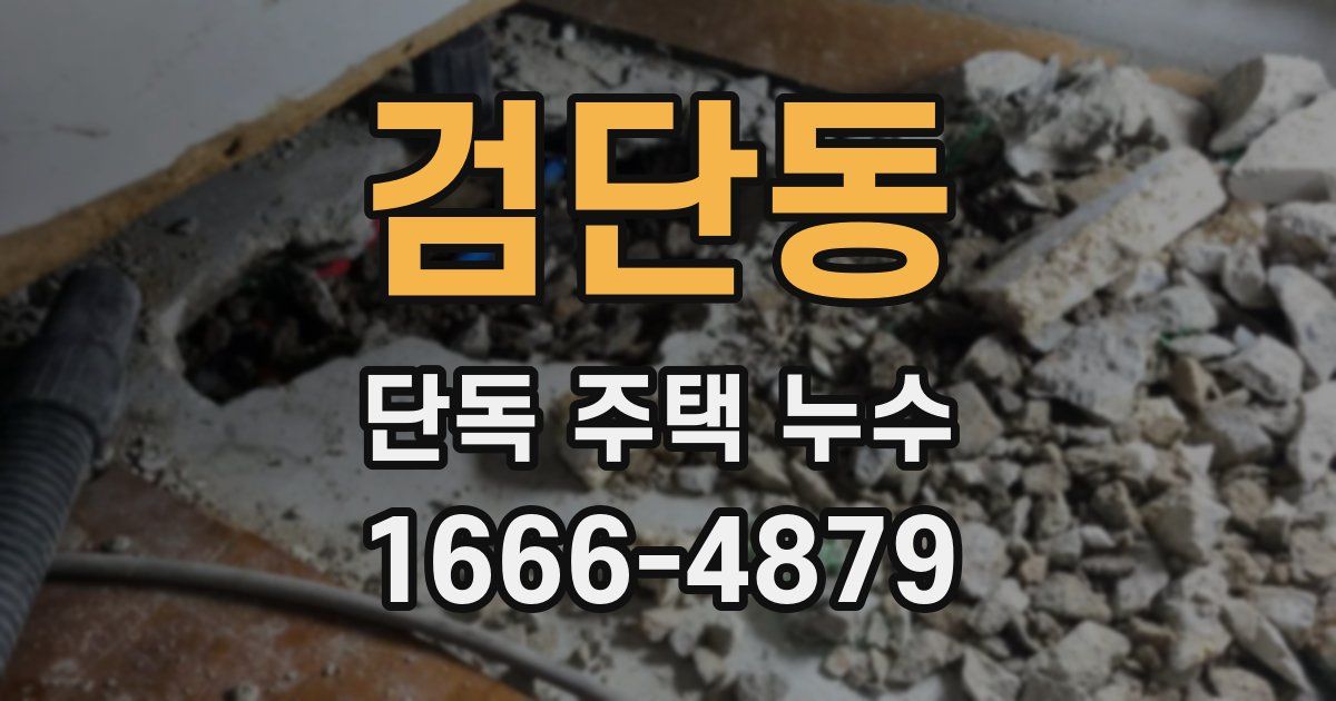 검단동 단독 주택 누수