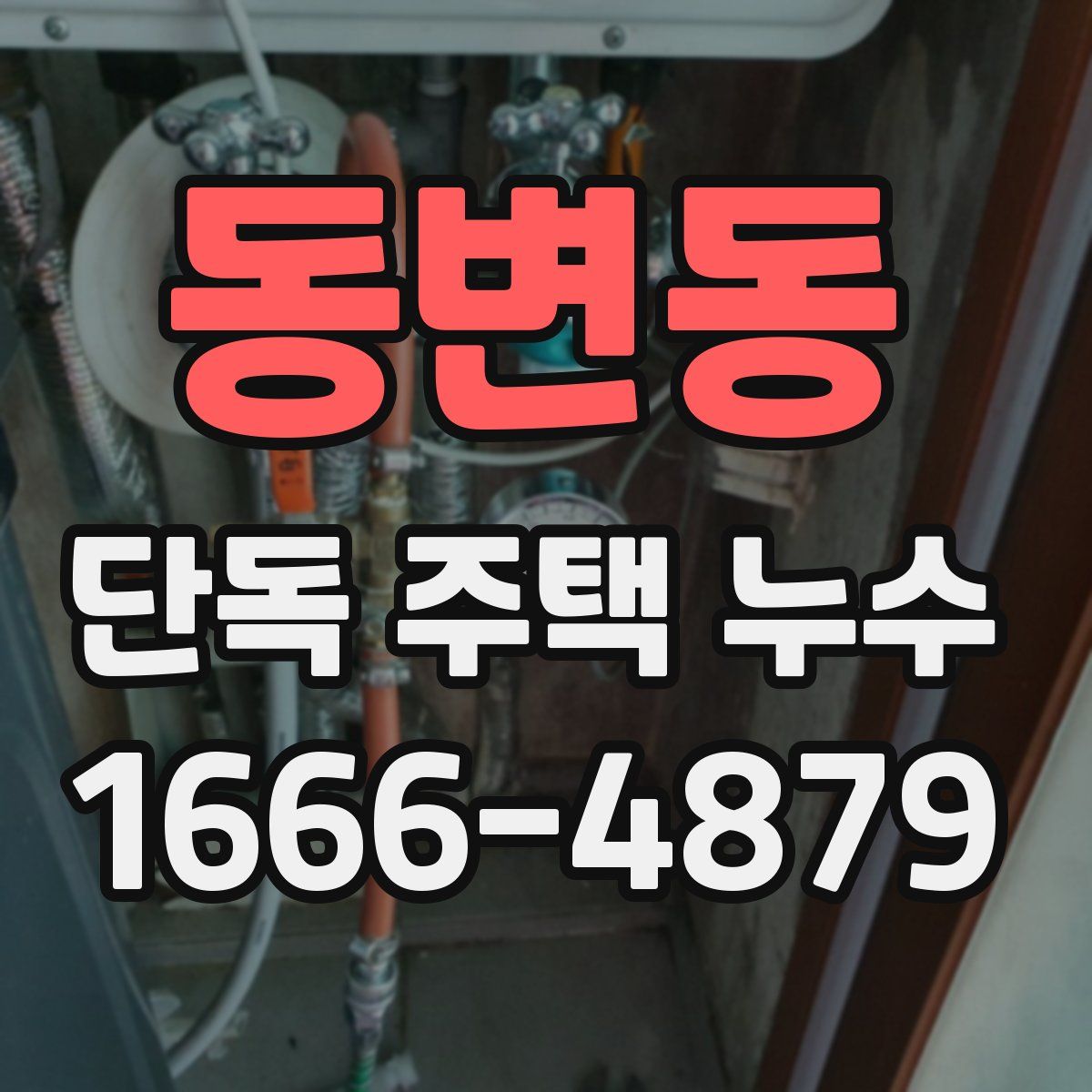 동변동 단독 주택 누수