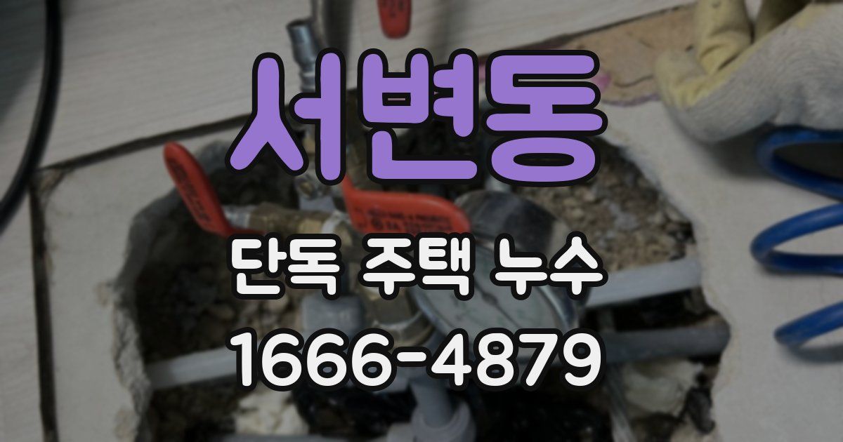 서변동 단독 주택 누수