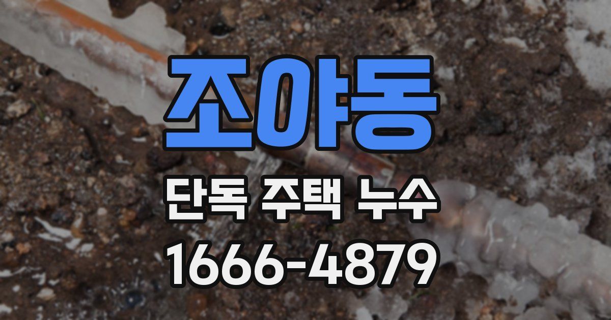 조야동 단독 주택 누수