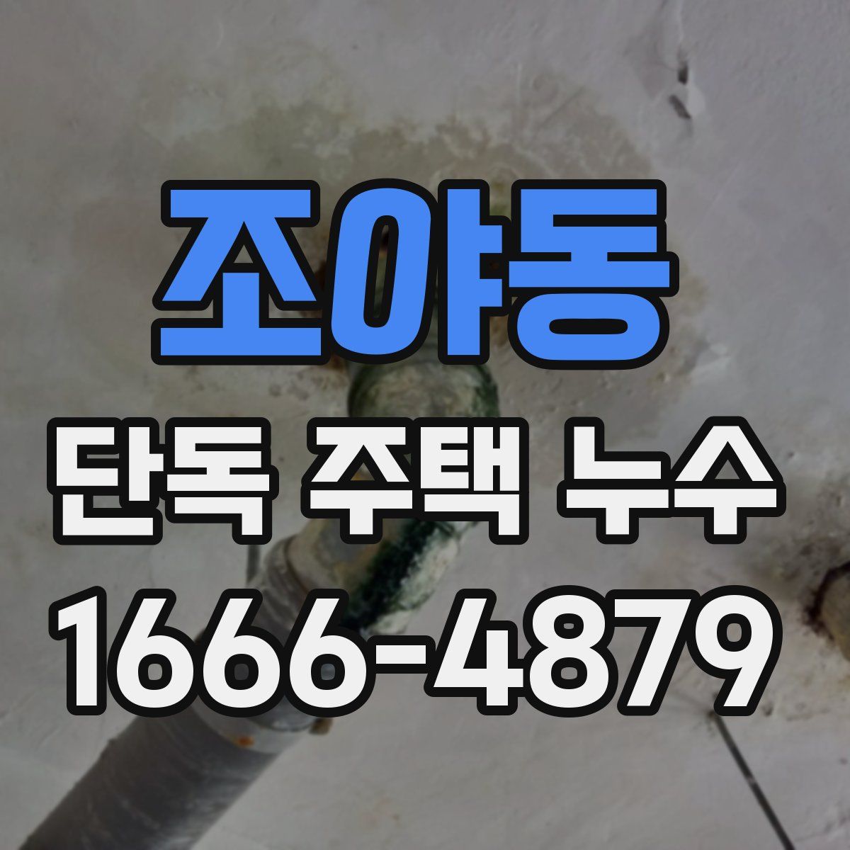 조야동 단독 주택 누수