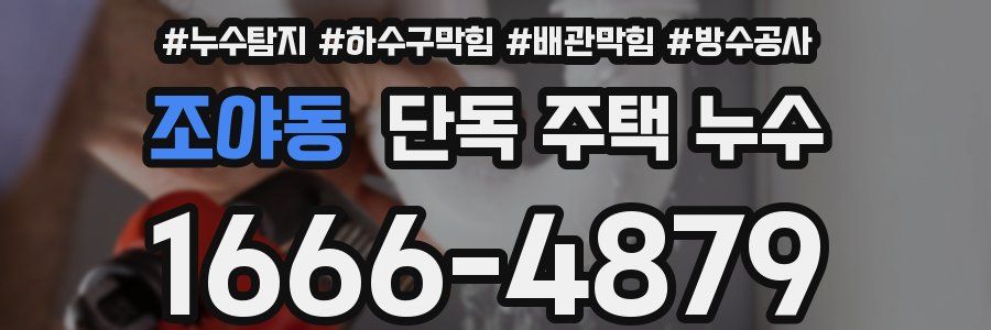 조야동 단독 주택 누수