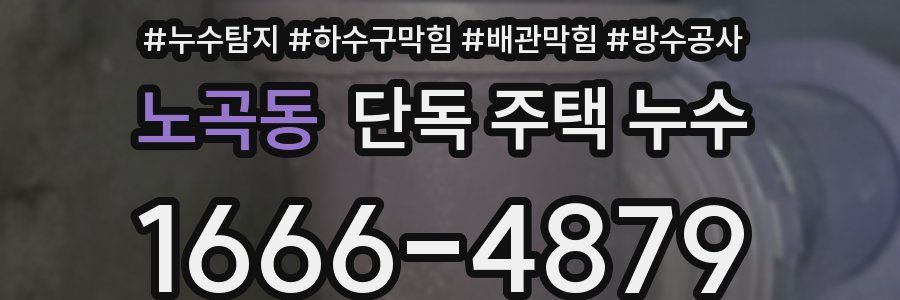 노곡동 단독 주택 누수