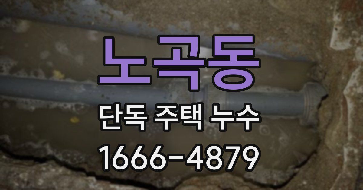노곡동 단독 주택 누수