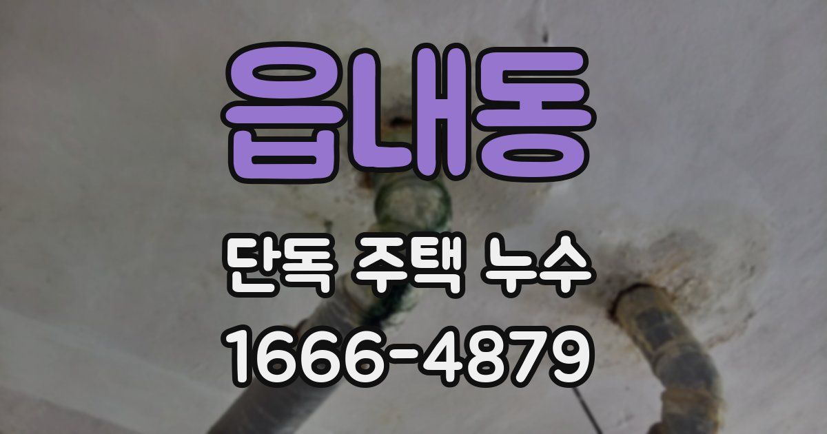 읍내동 단독 주택 누수