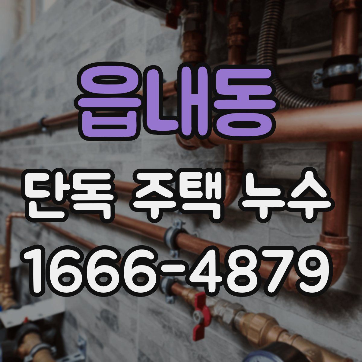 읍내동 단독 주택 누수