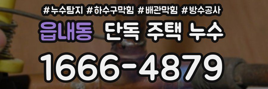 읍내동 단독 주택 누수