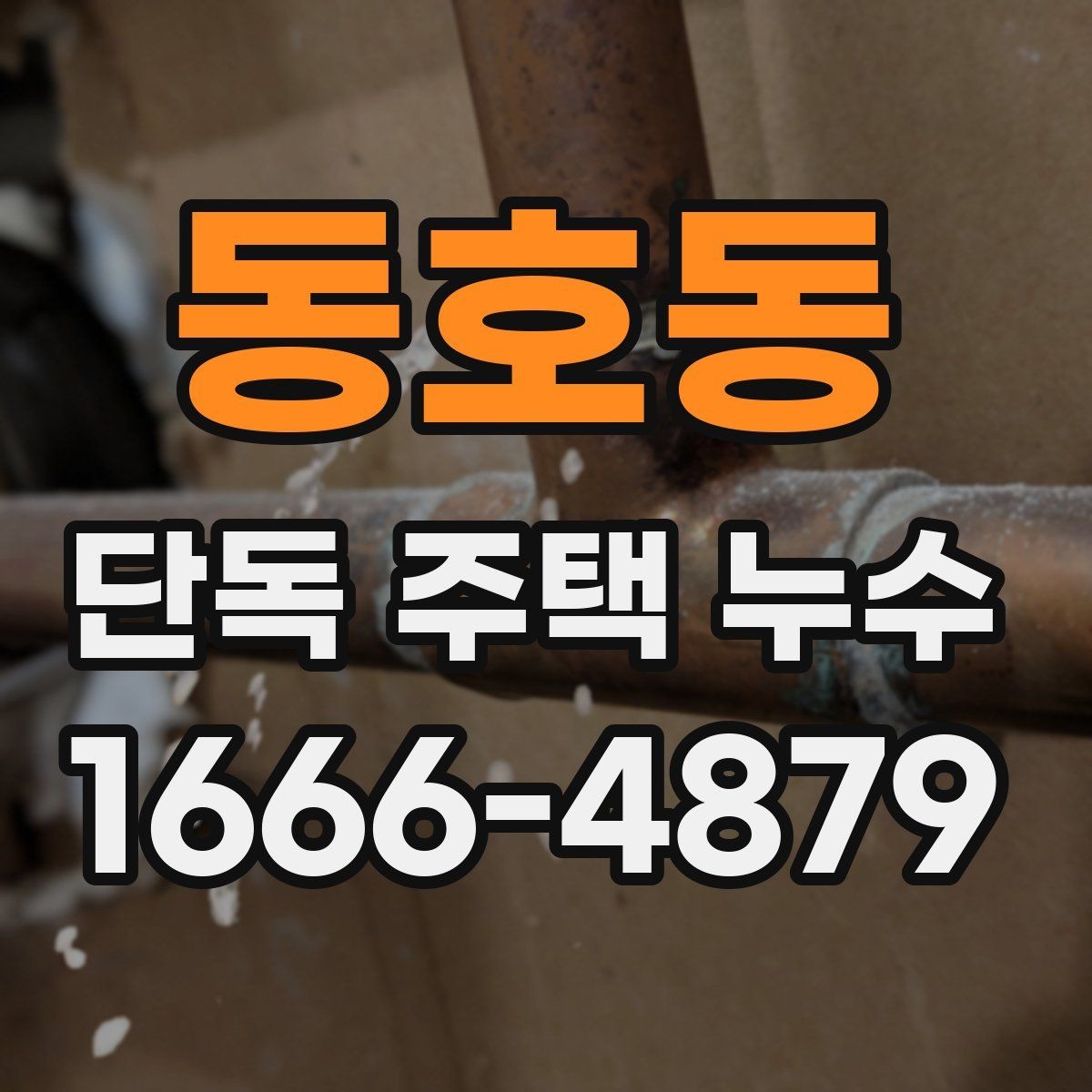 동호동 단독 주택 누수 비용 절감을 위해 비교할 항목