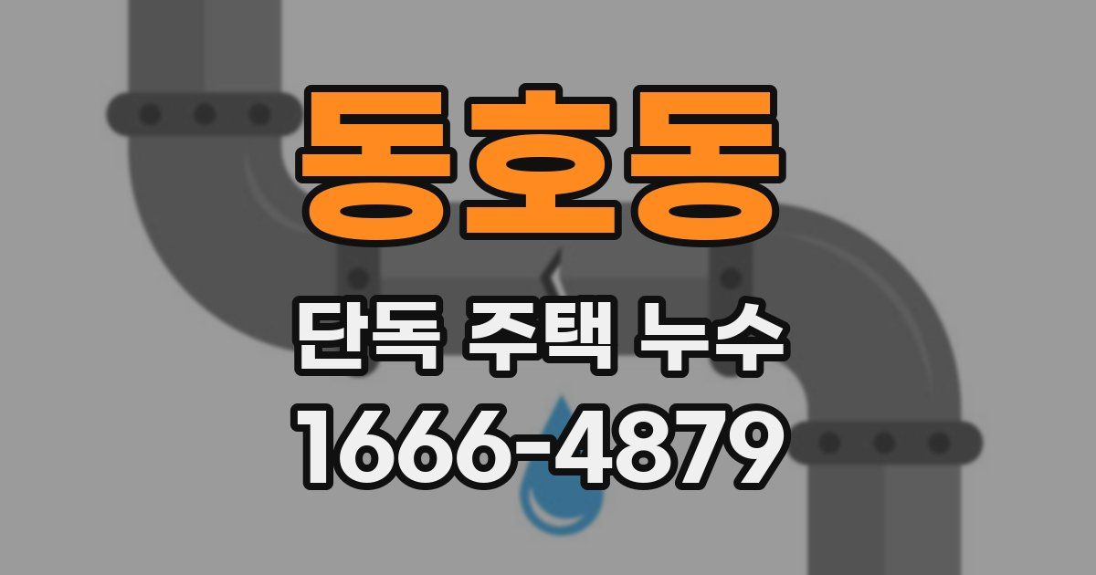 동호동 단독 주택 누수